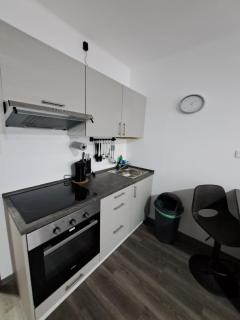 Apartmán Helena pod Klínovcem - Karlovy Vary - 6