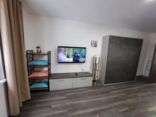 Apartmán Helena pod Klínovcem - Karlovy Vary - 5