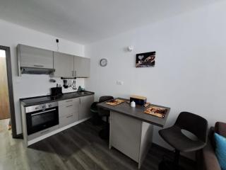 Apartmán Helena pod Klínovcem - Karlovy Vary - 1