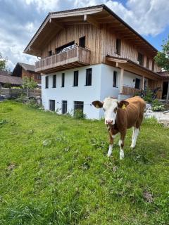 Ferienwohnung Gschwendt - Miesbach - 0