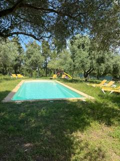 gite au paradis, parc animalier - 9