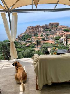 la casa dei fiori - Pisciotta - 9