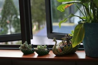 #MyUrbanGetaway at CameronFair, Cameron Highlands - 7