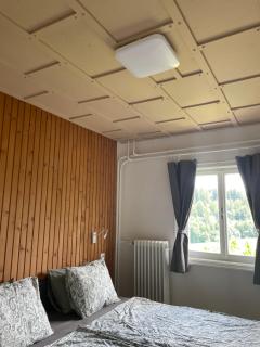 Apartma z razgledom - Bled - 4