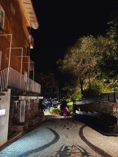 Charming flat in Porto Rotondo with lush garden! - Porto Rotondo - 4