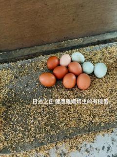 sunlight mound - Yuanshan - 9