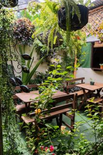 Casa 48 - Antigua Guatemala - 8