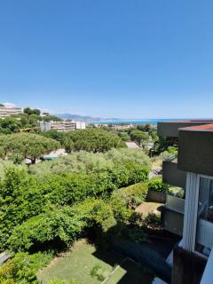 Appartement vu mer et montagnes - Villeneuve-Loubet - 0