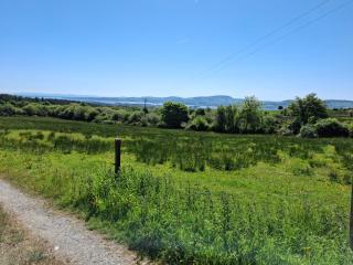 The Workshop - Feevaghmore - 4