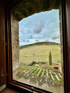 Chianti Essence Apartment - Badia A Passignano - 6