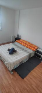 Stanza in Ambiente Calmo e Rilassante - 3