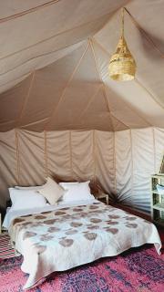 Bivouac Le secret des dunes - Foum Zguid - 0