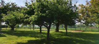 Big & charming loft with wonderful views - 2