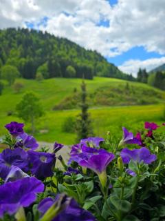 Haus Luise - Bad Hindelang - 0