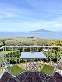 Sorrento Olive Tree Garden - Sorrent - 4