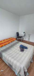 Stanza in Ambiente Calmo e Rilassante - 1