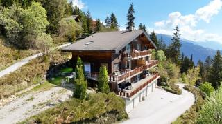 Mountain Bliss, view and Sauna - Swiss Alps - Anzère - 8
