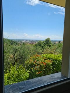 Villa Olivemare B&B - 3