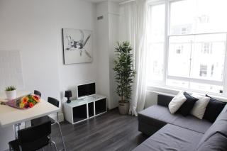 Fantastic 1BD flat in the centre - 1