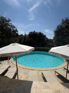 Le Pavillon de Nina - Puget - 9