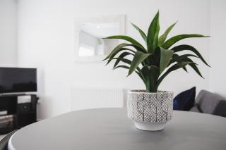 NEW 2BD Pontac Flat in the Heart of Didcot - 7