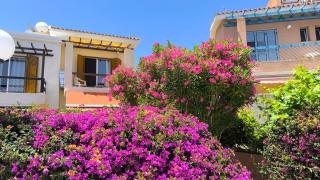 Eva Gardens corner house with stunning garden and huge swimming pool next to CORAL BAY - Peyia - 1