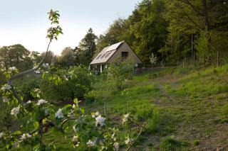 Refugium am Wald - Feldbach - 9