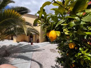 Casa Hridaya - Castelo de Vide - 0