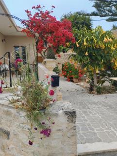 Liza's Place - - 7