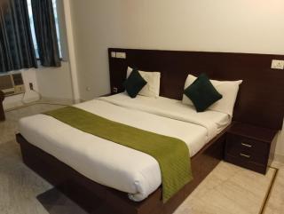 hotel basu - Nuova Delhi - 8