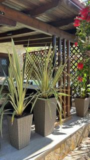 Palma Beach House - Sarti - 7