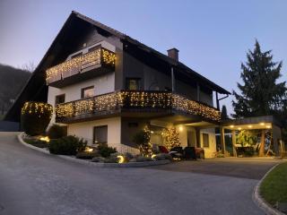 Apartment Lida - Podčetrtek - 9