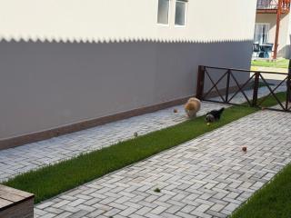 Linda casa no condominio Village Praia dos Carneiros 04 - Tamandaré - 6