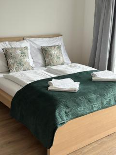 Sunny apartment BRNO - Medlánky - 9