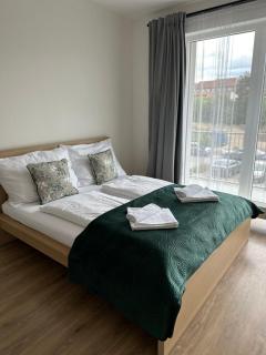 Sunny apartment BRNO - Medlánky - 6