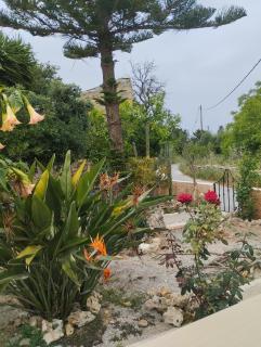 Liza's Place - - 9