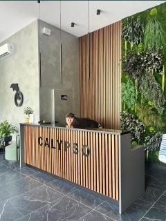 CALYPSO - apartments 50 meters of the sea Odessa - 9