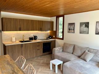 T3 appart 50 metres des pistes - La Salle-les-Alpes - 2