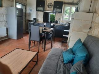 Gîte aux Pissenlits - Brain-sur-Allonnes - 0