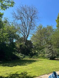 Hazel Heights, Braunton - Braunton - 1