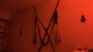 Stay & Play RED ROOM Adult Homestay in Williamsburg - Brooklyn - 5