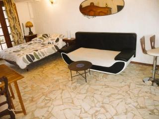 Studio climatise avec piscine - 2