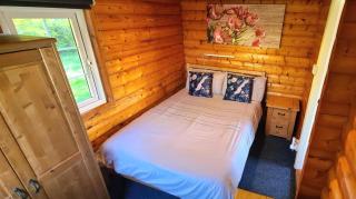 Cosy log cabin in Snowdonia 16 - Trawsfynydd - 1