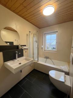 Spacious flat in Alsace 30 min from Europa-Park - - 1
