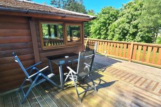 Norwegian cosy log cabin 19 - Trawsfynydd - 1