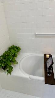 Casa Artemisa hostal - Guadalajara - 9