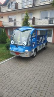 Pokoje Gościnne u MARCINA- sala zabaw, basen, melex, rowery, grill, mini dmuchaniec - Ostrowo - 9