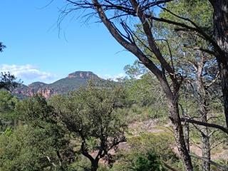Résidence les Parasols d'Argens - Roquebrune-sur-Argens - 1