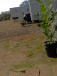 The Truffles Farm - Moffat - 4
