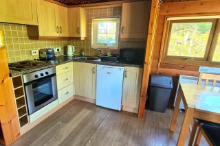 Cosy log cabin in Snowdonia 9 - Trawsfynydd - 3